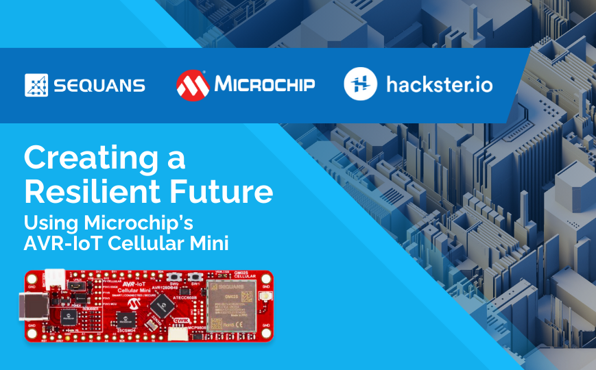 Building Sustainable Communities with IoT